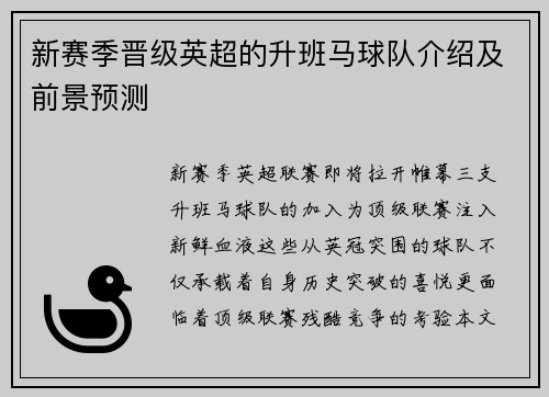 新赛季晋级英超的升班马球队介绍及前景预测